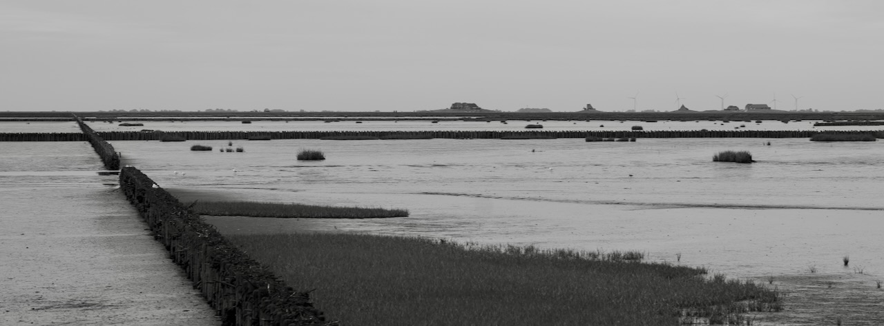 Halligen black and white