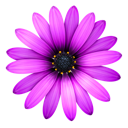 TextMate icon